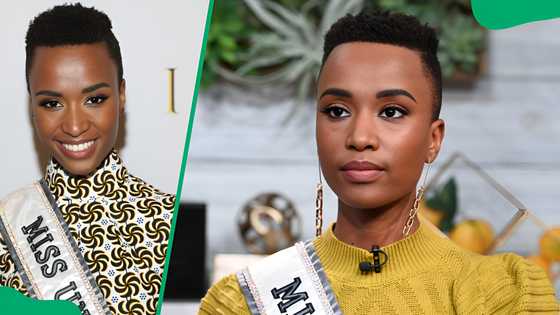 Zozibini Tunzi's net worth: how rich is the former Miss Universe?