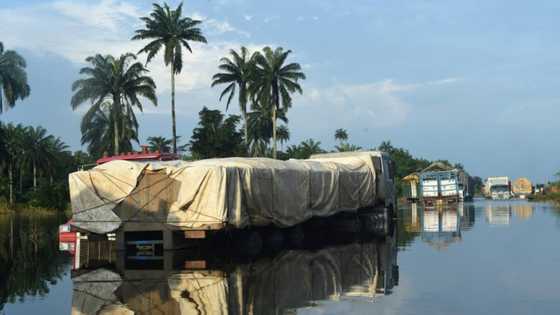 Aid slowly reaches Nigerian flood victims