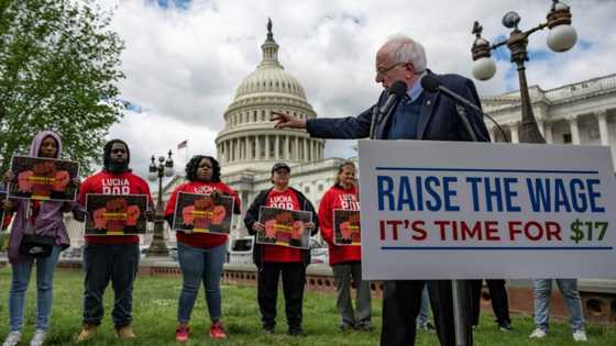 Leftist US senator pushes for $17 minimum wage