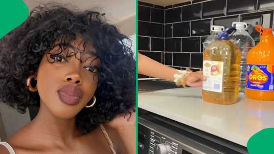 "Got my money's worth": Woman shows her 'reasonable' R5k Christmas grocery haul