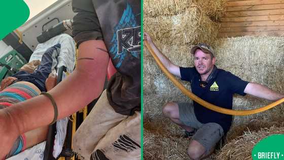 "He killed it": Vanrhynsdorp man gets bitten by a puff adder while collecting cans for an income