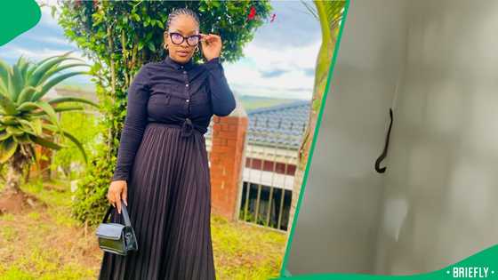 "It's not witchcraft": Snake slithers into the family house wall, SA astonished