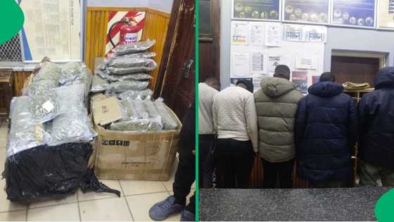 Bloemfontein SAPS seize dagga worth R1 million en route to Cape Town