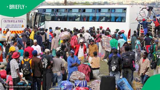 17 repatriation buses turned back at Beitbridge as more than 8,200 foreign nationals processed