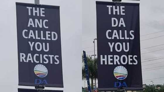 Phoenix: DA's Steenhuisen won't seek forgiveness for controversial posters