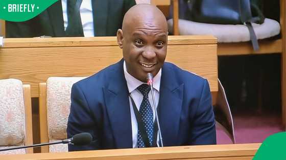 Cedric Nkabinde testifies about a ‘boys trip’ with General Nhlanhla Mkhwanazi, South Africans amused