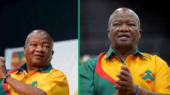 United Democratic Movement leader Bantu Holomisa tells critics to go to hell