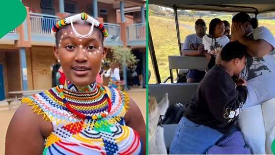"Guys are we even African?": African family outrage Mzansi after being scared of goats on safari