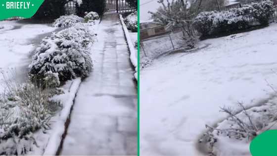 “Are you in the US?”: Northern Cape TikTok video of family’s snow-covered yard stuns Mzansi