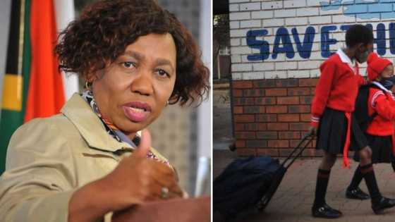 Gauteng parents frustrated after online registration backlog leaves thousands of learners stranded, Motshekga calls for calm