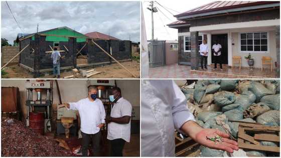 Man builds house with 13 000kg of plastic waste, photo shows incredible result