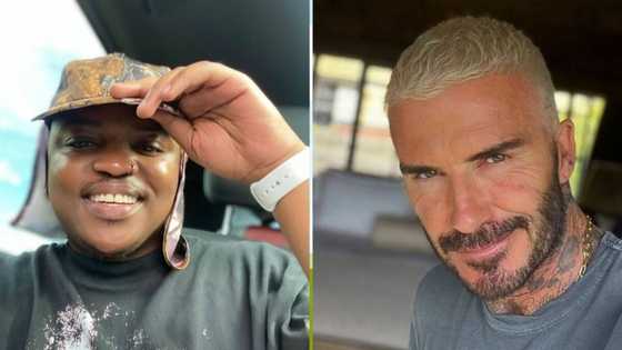 Focalistic joins David Beckham, Leonardo DiCaprio and other world superstars as ambassadors for Wild Aid