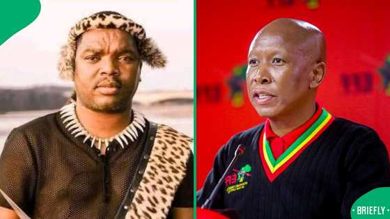 Ngizwe Mchunu confirms Bhinca Festival is on despite cancellation claims and EFF clash