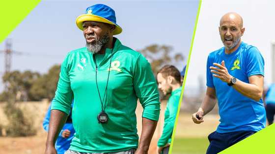 Miguel Cardoso enjoys positive flow of energy from Mamelodi Sundowns coaching staff