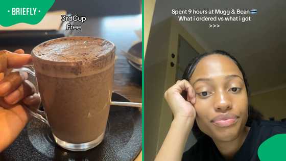 Student’s 9-hour Mug and Bean study session turns into a full-day food review