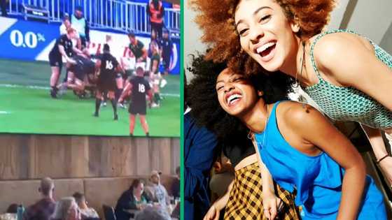 South African fans go wild in New Zealand as they celebrate Rugby World Cup victory in TikTok video