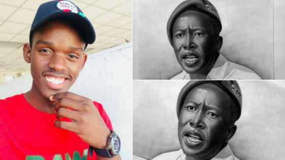 'Nailed it':Local artist wows Mzansi with a portrait of Julius Malema
