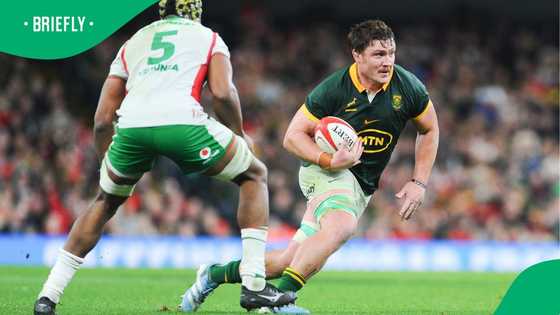 Springboks’ Jasper Wiese hit with 4-match suspension after headbutt incident