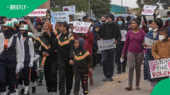 Cape Crime Crisis Coalition calls for inquiry into gang violence, Mzansi says it's a waste of money