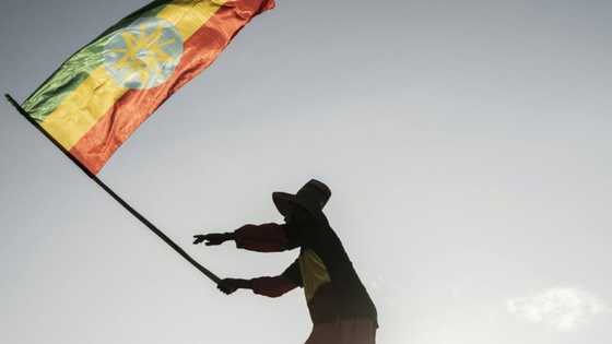 Ethiopia peace talks open in South Africa