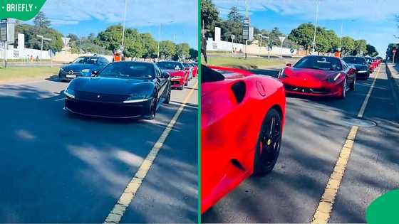 “Call Madlanga”: SA reacts to Ferrari convoy spotted rolling through South African road