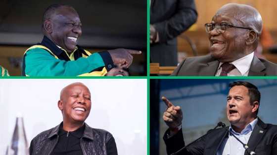 "What would you call it?": SA gives hilarious band names for Ramaphosa, Malema, Zuma and Steenhuisen