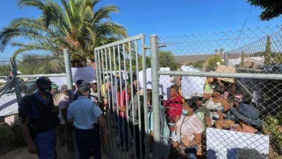 Daniel Smit admits Klawer case was not his first murder, abandons bail bid