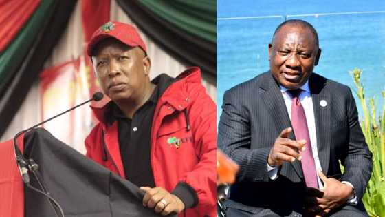 Julius Malema takes a swipe at Cyril Ramaphosa: "He is killing us"