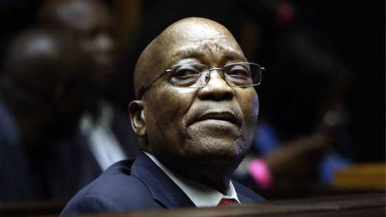 Pro-Zuma protest called off after reports of Jacob Zuma's non-appearance at PMB High Court for arms deal trial