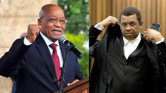 Mpofu accuses ConCourt of breaching international law, demands that Zuma be released