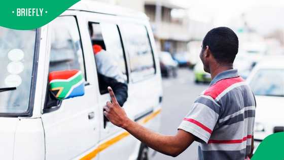 National Taxi Alliance threatens shutdown across Gauteng next week over licence renewal backlog