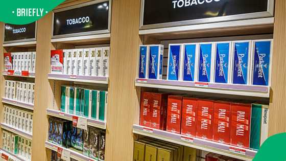 Government blamed for illicit tobacco failure as 230 jobs hang in the balance