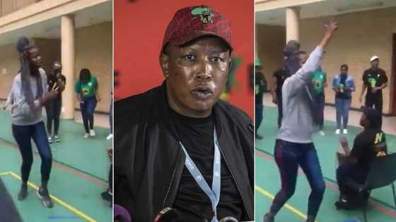 EFF leader Julius Malema shares video of woman singing a "battle cry" and causes an uproar on social media
