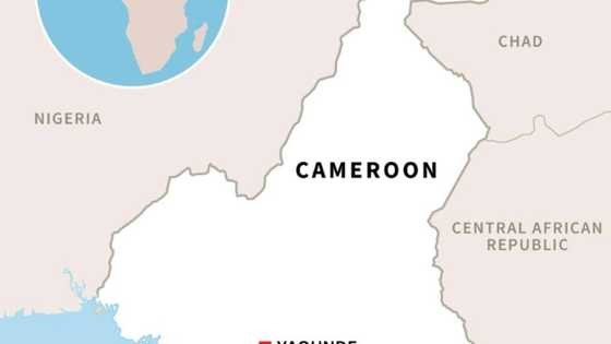 Landslide in Cameroon kills at least 11: governor