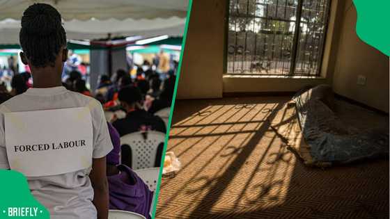 South Africans warned against alleged Dubai teaching scam