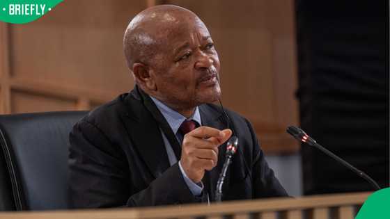 Parliament's Ad Hoc Committee divided over whether Senzo Mchunu disbanded PKTT to shield cartels