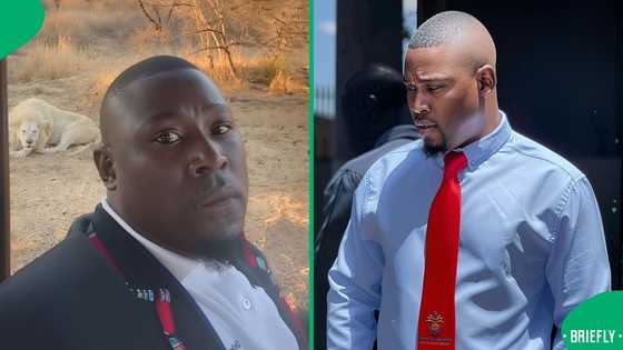 "Out of diesel": Man surrounded by lions in stalled safari vehicle in viral TikTok video