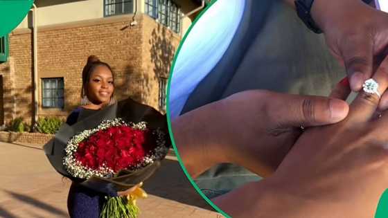 SA woman's heartwarming proposal after 8 months wows Mzansi in a video