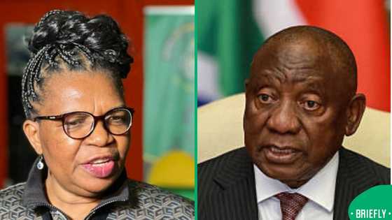 Ramaphosa reshuffles cabinet, demotes Steenhuisen and brings back Dina Pule