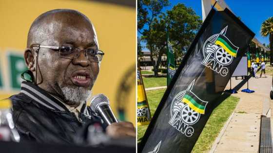 Mantashe urges ANC branches to choose potential candidates wisely ahead of December elective conference