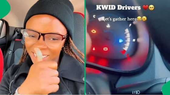 "So fuel efficient": Kwid driver spends R360 to fill up tank with petrol