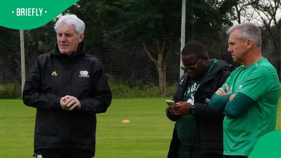 No Sundowns players for Bafana June friendlies: Broos explains the decision