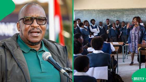 Gauteng Education MEC says province needs 200 more schools due to high demand, SA not impressed