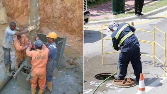 Top investment projects that promise new jobs for Mzansi