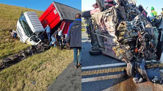 Looters target beer truck after collision kills 3 people in horrific accident