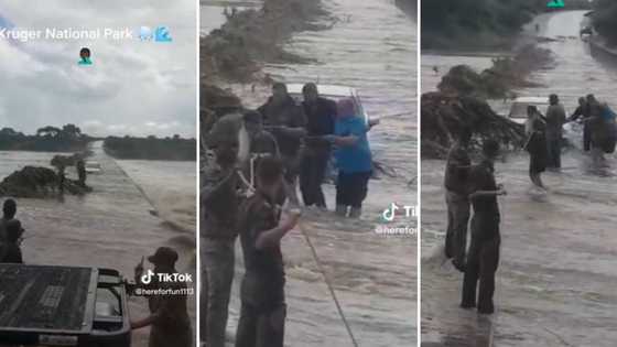 TikTok video shows car stuck in raging floods in Kruger National Park: Big 5’s safety has Mzansi stressing