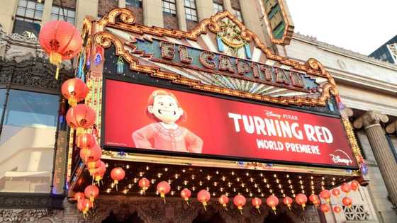 Streaming films more diverse than cinematic releases: study