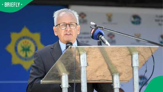 Police Minister confirms 13 million unsolved criminal cases were closed in last 10 years, SA debates