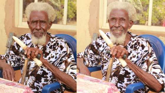 Man celebrates grandpa's 113th birthday: "He might get to 130"