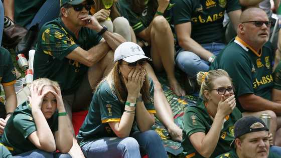 Rugby supporter dies following Springboks' Test against Scotland at Loftus